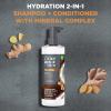 imageDOVE MEN  CARE 2in1 Shampoo  Conditioner Sandalwood ampamp Cardamom Oil for Thick ampamp Full Hair  Vitamin B3 ampamp Mineral Complex 175 ozCoconut