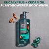 imageDOVE MEN  CARE Body Wash Eucalyptus  Cedar Oil to Rebuild Skin in the Shower with PlantBased Cleansers and Moisturizers 26 ozEucalyptus  Cedar