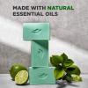 imageDOVE MEN  CARE PlantPowered Natural Essential Oil Bar Soap Reinvigorating Lime  Avocado Oil to Clean and Hydrate Mens Skin 4in1 Bar Soap for Mens Body Hair Face and Shave 5 oz 4 CountLime and Avocado Oil